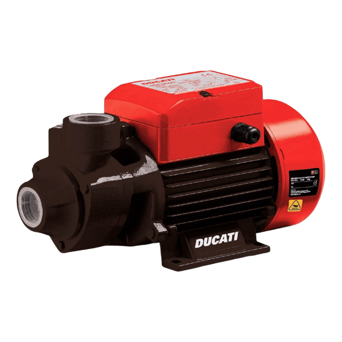 Electrobomba Periférica Ducati Dpp6000S